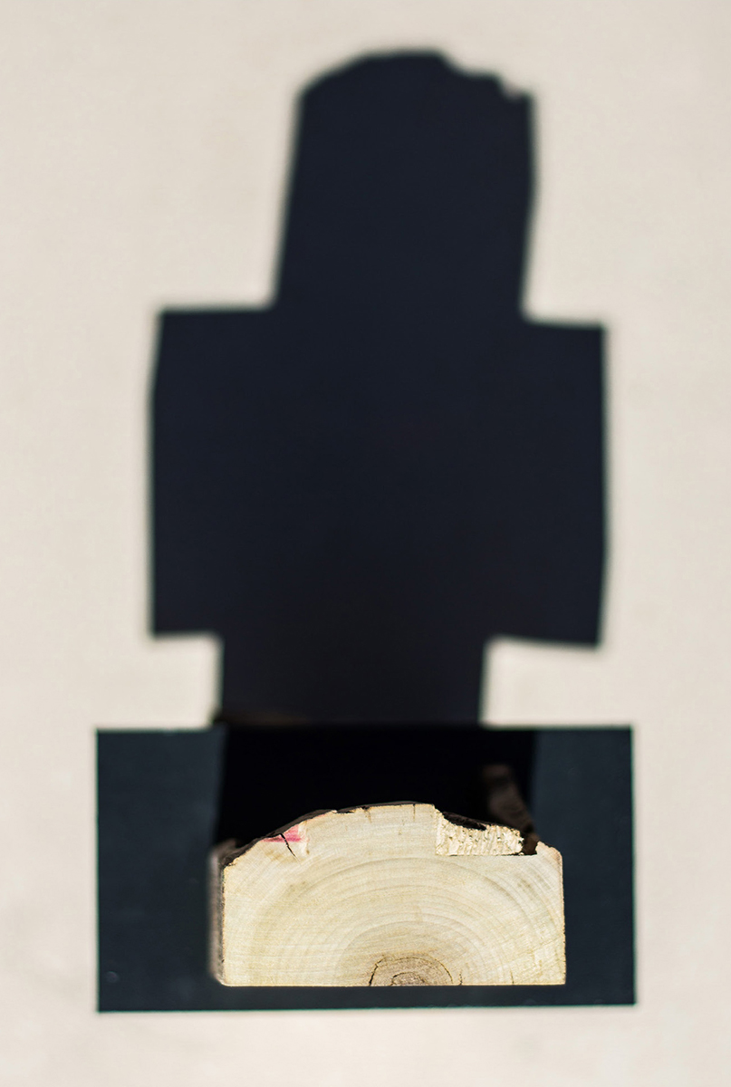 03_The_Plan_Urban_Treehouse_Concept_Model_1.jpg