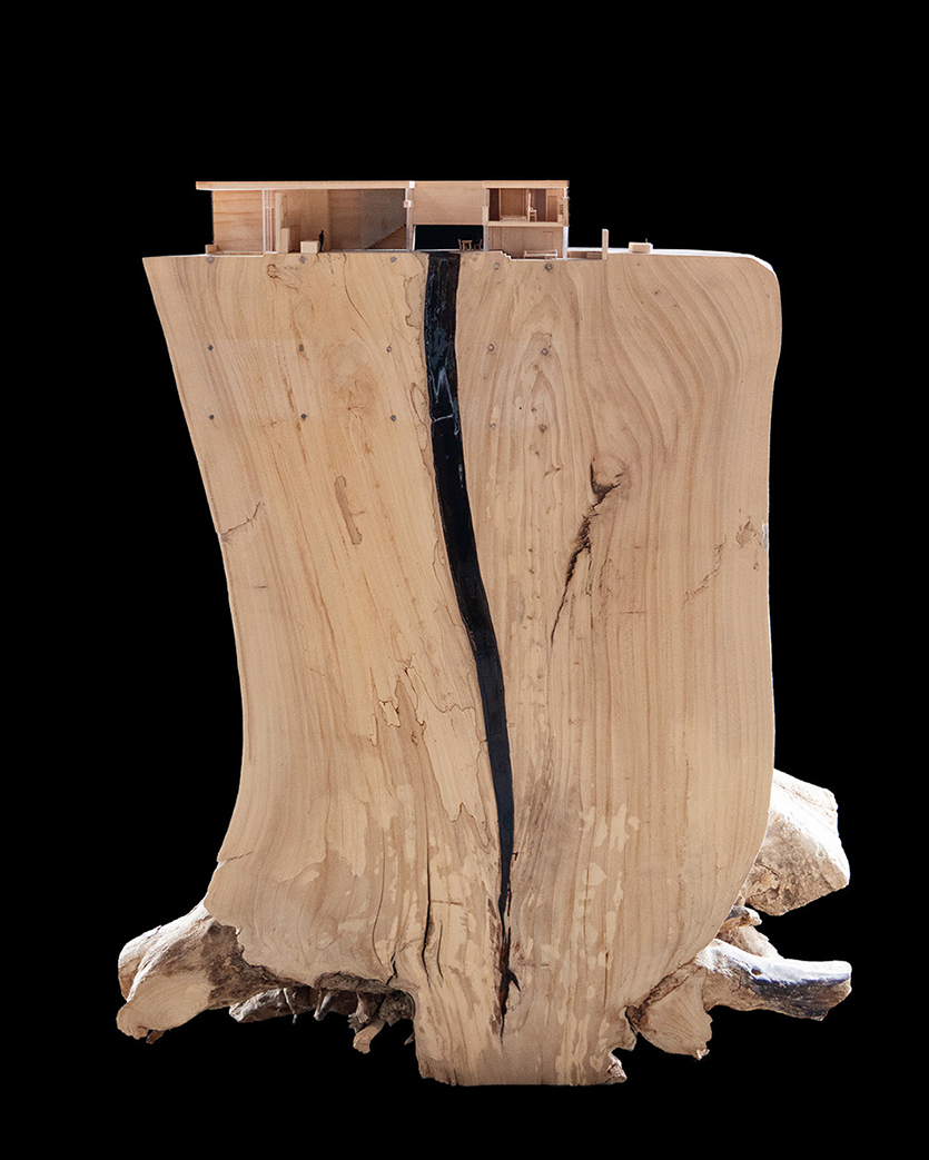 07_The_Plan_Urban_Treehouse_Final_Model_3.jpg